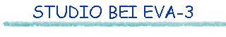 STUDIO BEI EVA-3